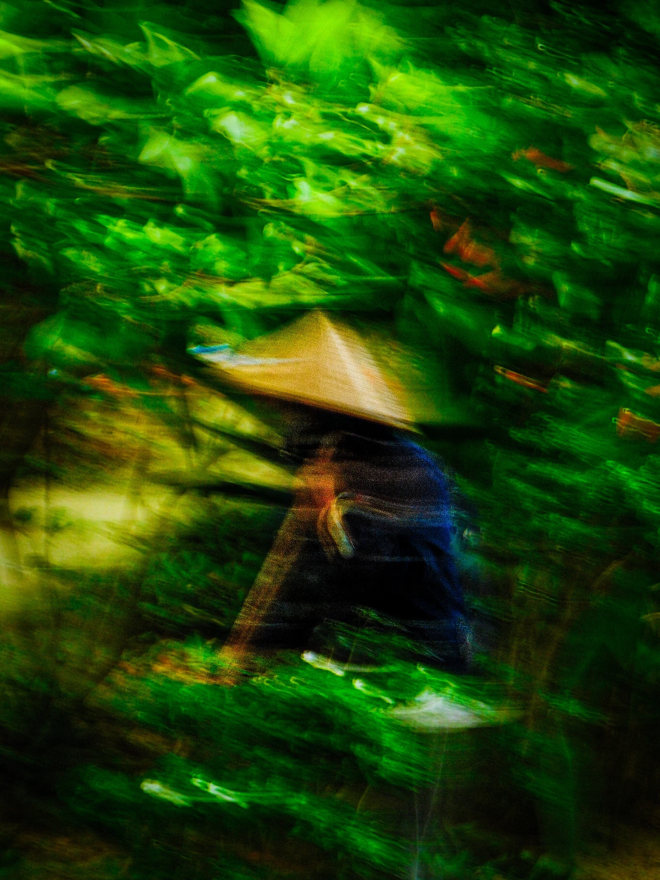Vietnam 22