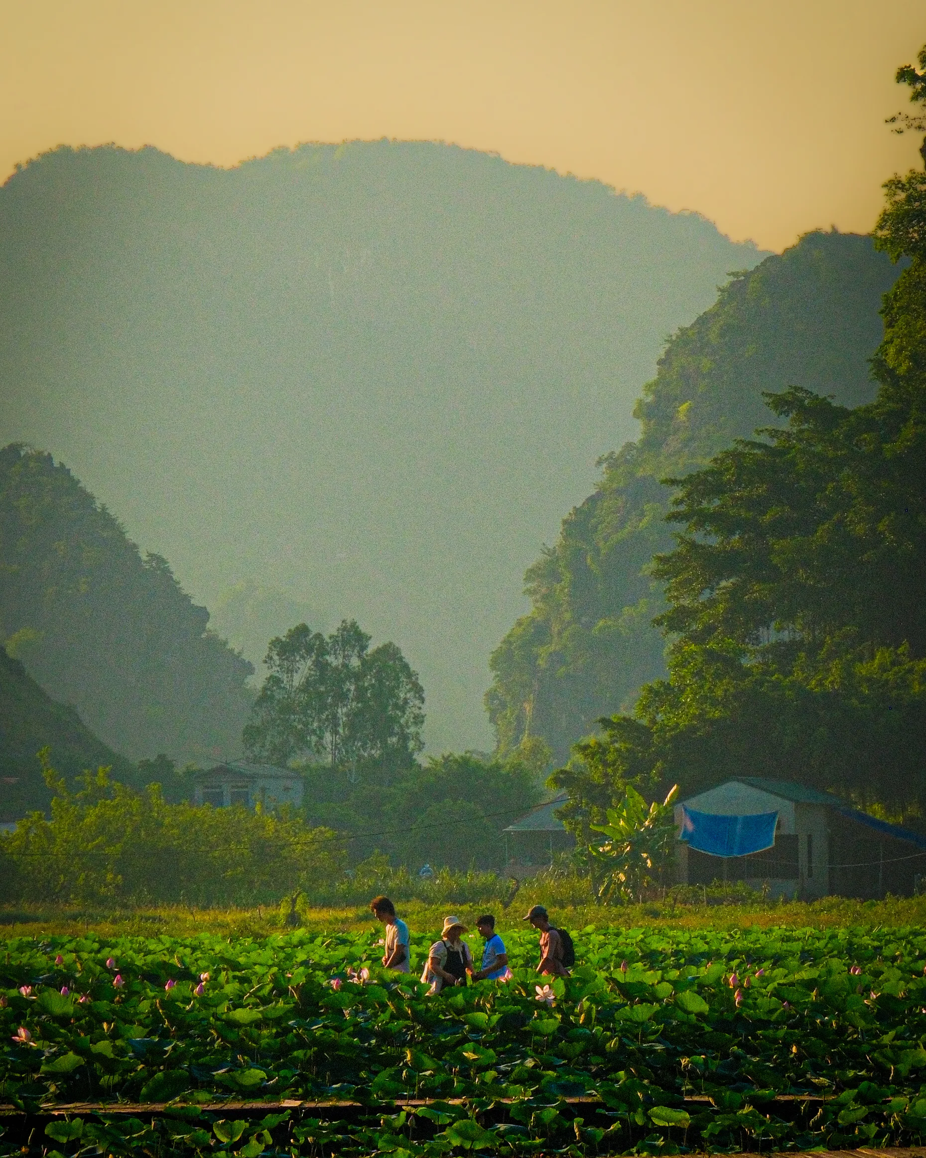 Vietnam 9