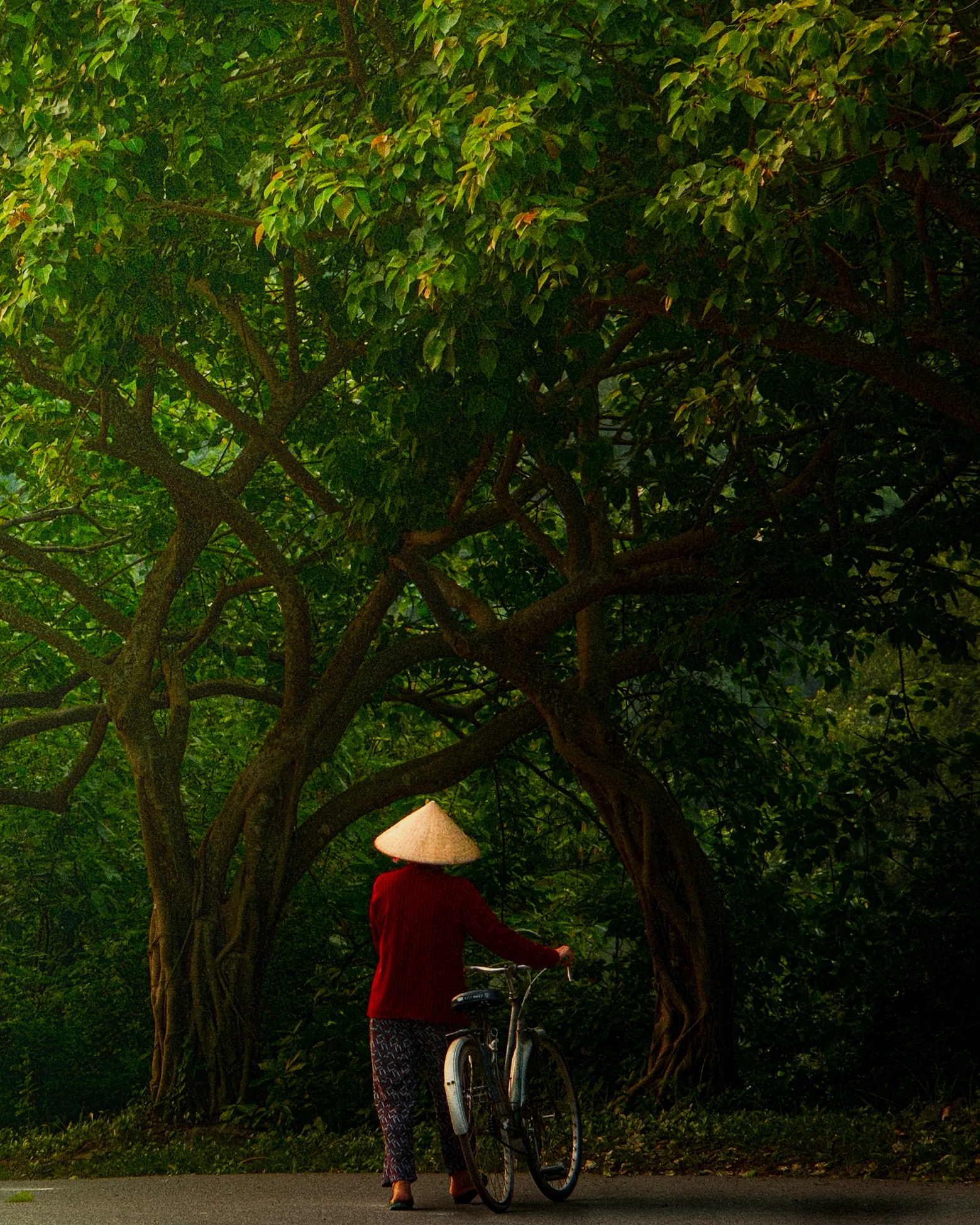 Vietnam 21